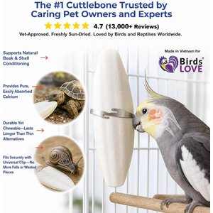 Birds LOVE Natural Cuttlebone Calcium Block Supplement for Birds, Tortoise & Snails, 7.5 to 8-in, 12 count