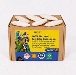 Birds LOVE Natural Cuttlebone Calcium Block Supplement for Birds, Tortoise & Snails, 7.5 to 8-in, 12 count
