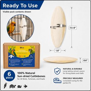 Birds LOVE Natural Cuttlebone Calcium Block Supplement for Birds, Tortoise & Snails, 7.5 to 8-in, 6 count