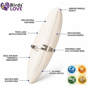 Birds LOVE Natural Cuttlebone Calcium Block Supplement for Birds, Tortoise & Snails, 7.5 to 8-in, 6 count