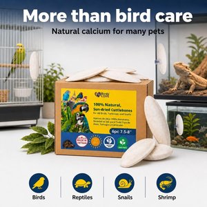 Birds LOVE Natural Cuttlebone Calcium Block Supplement for Birds, Tortoise & Snails, 7.5 to 8-in, 6 count