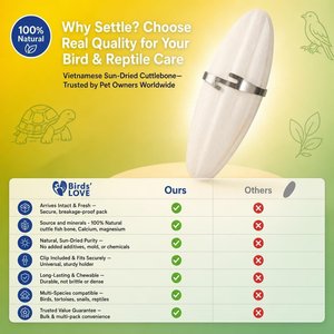 Birds LOVE Natural Cuttlebone Calcium Block Supplement for Birds, Tortoise & Snails, 7.5 to 8-in, 6 count
