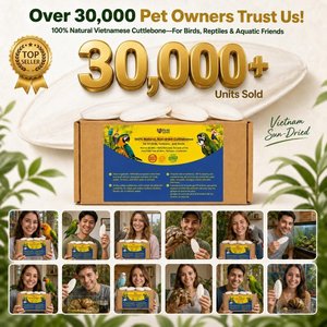 Birds LOVE Natural Cuttlebone Calcium Block Supplement for Birds, Tortoise & Snails, 7.5 to 8-in, 6 count