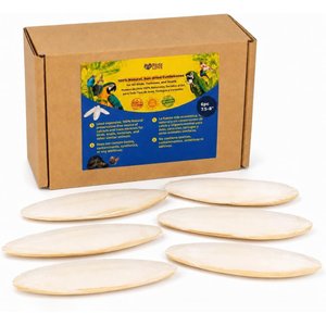 Birds LOVE Natural Cuttlebone Calcium Block Supplement for Birds, Tortoise & Snails, 7.5 to 8-in, 6 count