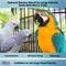 Show in main carousel: Birds LOVE Natural Garden Blend Large Parrot Bird Food, 2-lb bag slide 3 of 7