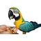 Show in main carousel: Birds LOVE Natural Garden Blend Large Parrot Bird Food, 6-lb bag slide 4 of 7