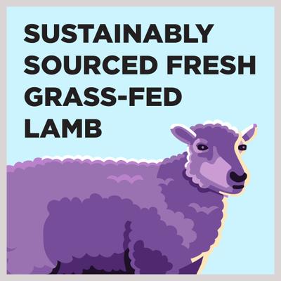 Show full view: BIXBI Liberty Limited Ingredient Lamb Recipe Canned Dog Food, 12.5-oz can, case of 12 slide 4 of 8