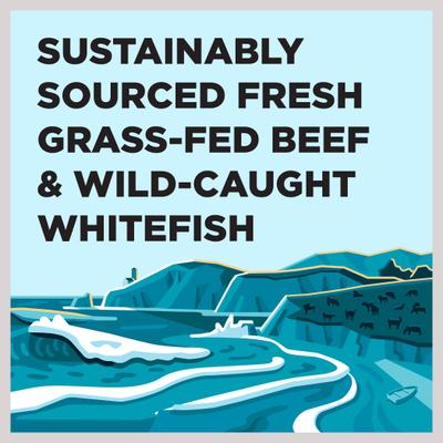 Show full view: BIXBI Liberty Surf 'n Turf Ocean Whitefish, Beef Broth, Beef & Beef Liver Wet Dog Food, 12.5-oz can, case of 12 slide 4 of 7