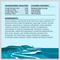 Show in main carousel: BIXBI Liberty Surf 'n Turf Ocean Whitefish, Beef Broth, Beef & Beef Liver Wet Dog Food, 12.5-oz can, case of 12 slide 6 of 7