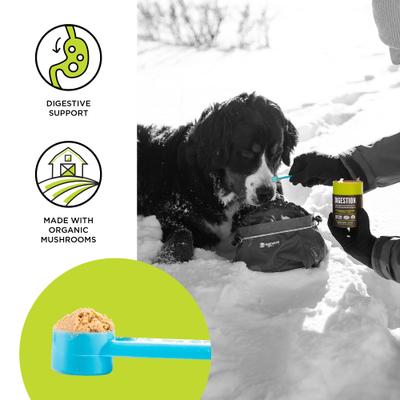 Show full view: BIXBI Organic Pet Superfood Digestion Daily Dog & Cat Supplement, 2.12-oz jar slide 4 of 8