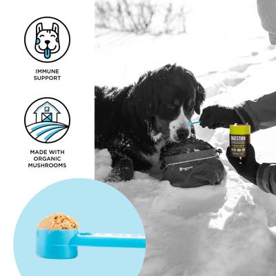 Show full view: BIXBI Organic Pet Superfood Immunity Daily Dog & Cat Supplement, 2.12-oz jar slide 4 of 9