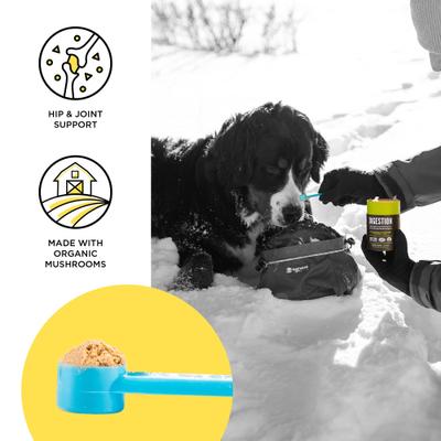 Show full view: BIXBI Organic Pet Superfood Joints Daily Dog & Cat Supplement, 2.12-oz jar slide 4 of 9