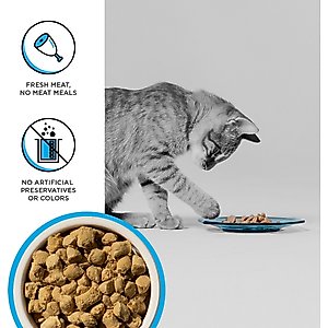 BIXBI RAWBBLE Chicken & Salmon Recipe Grain-Free Freeze-Dried Cat Food, 10-oz bag