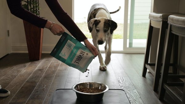 BIXBI RAWBBLE Fresh Turkey Recipe Limited Ingredient Grain-Free Dry Dog Food