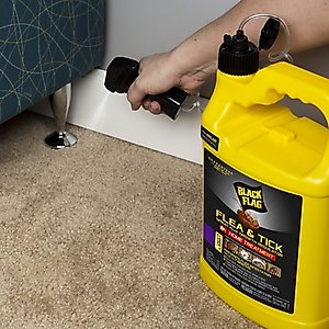 Black Flag Flea & Tick Spray Growth Regulator Home Treatment, 128-fl oz bottle