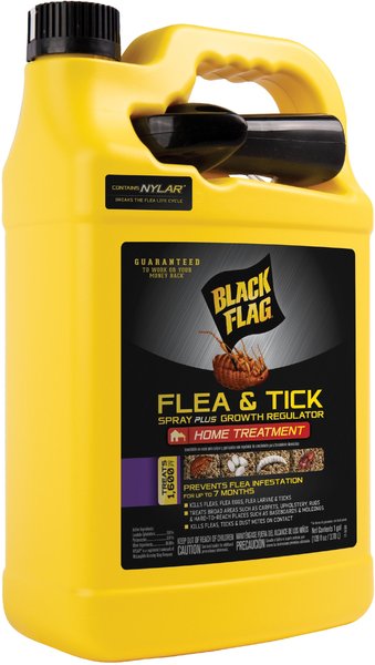 Black Flag Flea & Tick Spray Growth Regulator Home Treatment