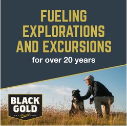 Black Gold Beef Flavored Soft Chew Hip & Joint Supplement for Dogs, 10.5-oz jar slide 2 of 8
