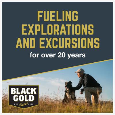 Show full view: Black Gold Beef Flavored Soft Chew Hip & Joint Supplement for Dogs, 10.5-oz jar slide 8 of 10