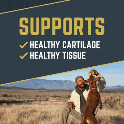 Show full view: Black Gold Beef Flavored Soft Chew Hip & Joint Supplement for Dogs, 10.5-oz jar slide 4 of 10