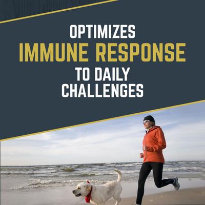 Show full view: Black Gold Daily Defense Turkey Flavored Soft Chew Gut Health Supplement for Dogs, 10.5-oz jar slide 3 of 10