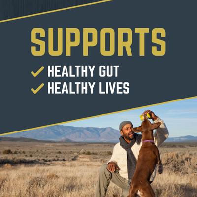 Show full view: Black Gold Daily Defense Turkey Flavored Soft Chew Gut Health Supplement for Dogs, 10.5-oz jar slide 4 of 10