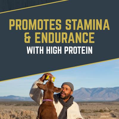 Show full view: Black Gold Explorer Large Breed Adult Recipe Dry Dog Food, 40-lb bag slide 5 of 11