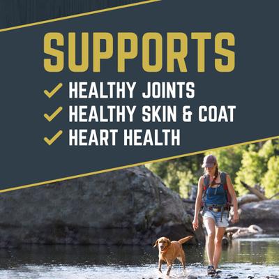 Show full view: Black Gold Explorer Large Breed Adult Recipe Dry Dog Food, 40-lb bag slide 3 of 11