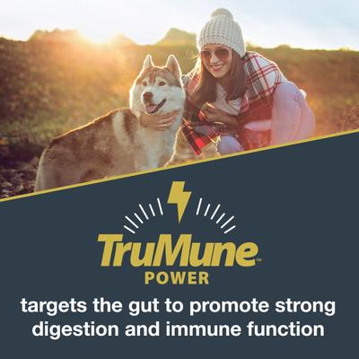 Show full view: Black Gold Explorer Large Breed Adult Recipe Dry Dog Food, 40-lb bag slide 4 of 11