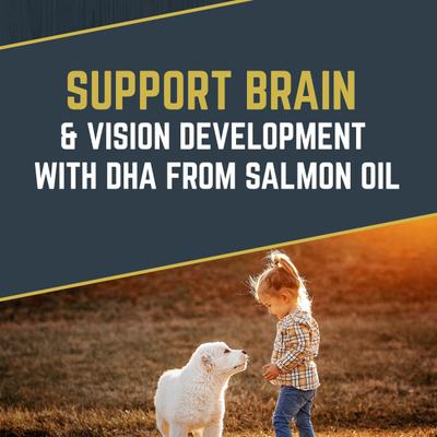 Show full view: Black Gold Explorer Large Breed Puppy Recipe Dry Dog Food, 40-lb bag slide 8 of 11