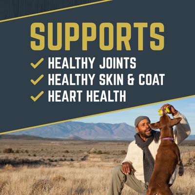 Show full view: Black Gold Explorer Large Breed Puppy Recipe Dry Dog Food, 40-lb bag slide 4 of 11