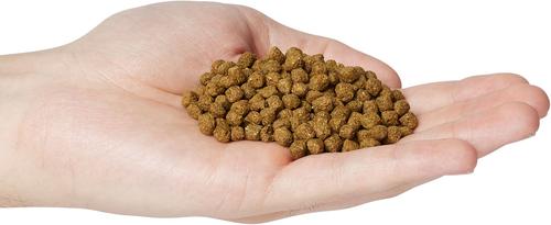 Show full view: Blackwater Premium Koi and Goldfish Food Cool Season Medium Pellet Fish Food, 40-lb bag slide 5 of 6