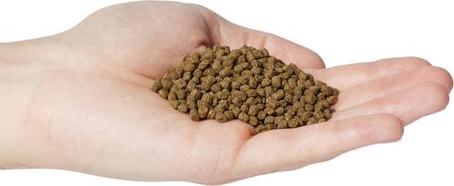 Show full view: Blackwater Premium Koi and Goldfish Food Max Growth Small Pellet Fish Food, 5-lb bag slide 5 of 6