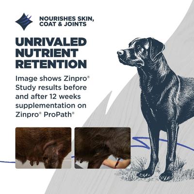 Show full view: Blackwood Adult Grain-Free Chicken & Field Pea Recipe Dry Dog Food, 24-lb bag slide 6 of 11