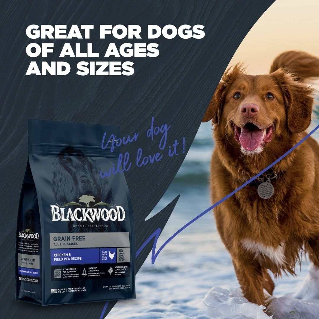 BLACKWOOD Adult Grain-Free Chicken & Field Pea Recipe Dry Dog Food