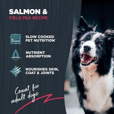 Show full view: Blackwood Adult Grain-Free Salmon & Field Pea Recipe Dry Dog Food, 4.5-lb bag slide 4 of 11