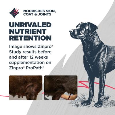 Show full view: Blackwood Adult Grain-Free Salmon & Field Pea Recipe Dry Dog Food, 4.5-lb bag slide 7 of 11