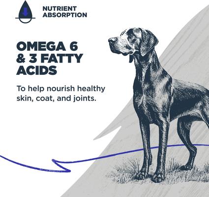 Show full view: Blackwood Adult Grain-Free Salmon & Field Pea Recipe Dry Dog Food, 4.5-lb bag slide 6 of 11