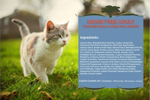 Show full view: Blackwood Chicken Meal & Field Pea Recipe Grain-Free Dry Cat Food, 13.22-lb bag slide 4 of 9