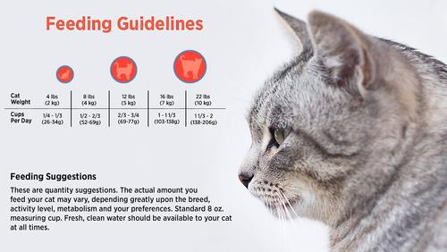 Show full view: Blackwood Chicken Meal & Field Pea Recipe Grain-Free Dry Cat Food, 13.22-lb bag slide 6 of 9