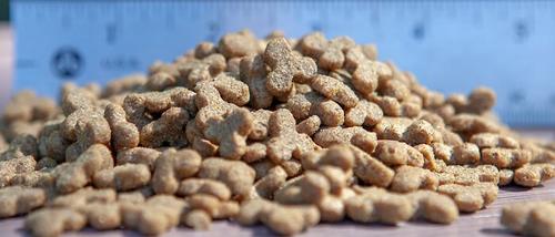 Show full view: Blackwood Chicken Meal & Rice Recipe Lean Dry Cat Food, 4-lb bag slide 3 of 9