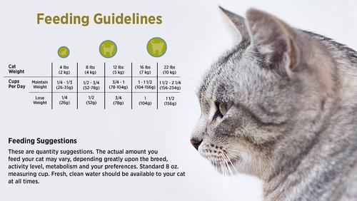 Show full view: Blackwood Chicken Meal & Rice Recipe Lean Dry Cat Food, 4-lb bag slide 5 of 9