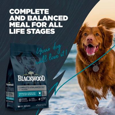 Show full view: Blackwood Complete & Balanced Diet Adult Chicken Meal & Brown Rice with Ancient Grains Recipe Dry Dog Food, 10-lb bag slide 9 of 12