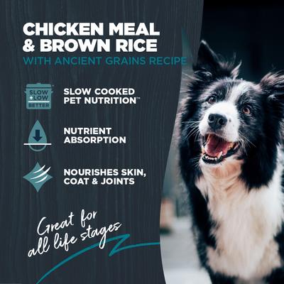 Show full view: Blackwood Complete & Balanced Diet Adult Chicken Meal & Brown Rice with Ancient Grains Recipe Dry Dog Food, 10-lb bag slide 4 of 12