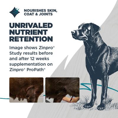 Show full view: Blackwood Complete & Balanced Diet Adult Chicken Meal & Brown Rice with Ancient Grains Recipe Dry Dog Food, 24-lb bag slide 6 of 12