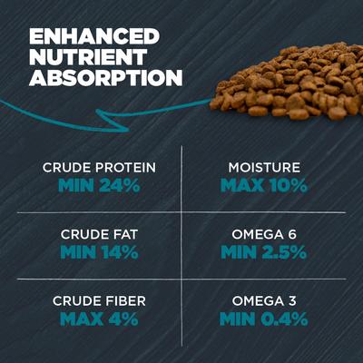 Show full view: Blackwood Complete & Balanced Diet Adult Chicken Meal & Brown Rice with Ancient Grains Recipe Dry Dog Food, 4.5-lb bag slide 8 of 12