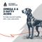 Show in main carousel: Blackwood Complete & Balanced Diet Adult Lamb Meal & Chicken Meal with Ancient Grains Recipe Dry Dog Food, 24-lb bag slide 5 of 11