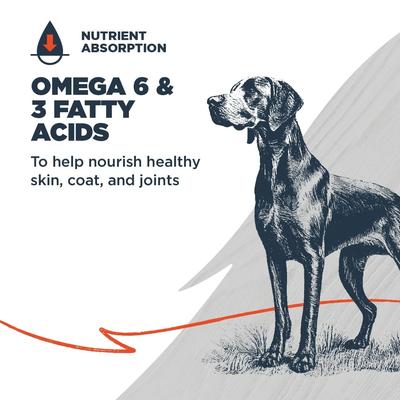 Show full view: Blackwood Complete & Balanced Diet Adult Lamb Meal & Chicken Meal with Ancient Grains Recipe Dry Dog Food, 4.5-lb bag slide 5 of 11