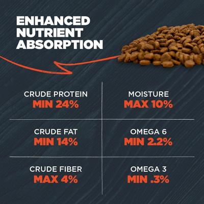 Show full view: Blackwood Complete & Balanced Diet Adult Lamb Meal & Chicken Meal with Ancient Grains Recipe Dry Dog Food, 4.5-lb bag slide 7 of 11