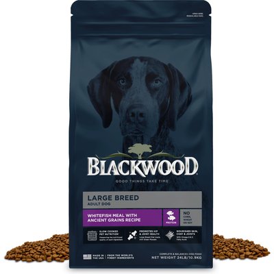 Blackwood Blackwood Large Breed White Fish with Ancient Grains Slow Cooked Adult Dry Dog Food, 24-lb bag