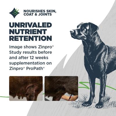 Show full view: Blackwood Lean Senior Chicken Meal with Ancient Grains Recipe Dry Dog Food, 24-lb bag slide 6 of 11